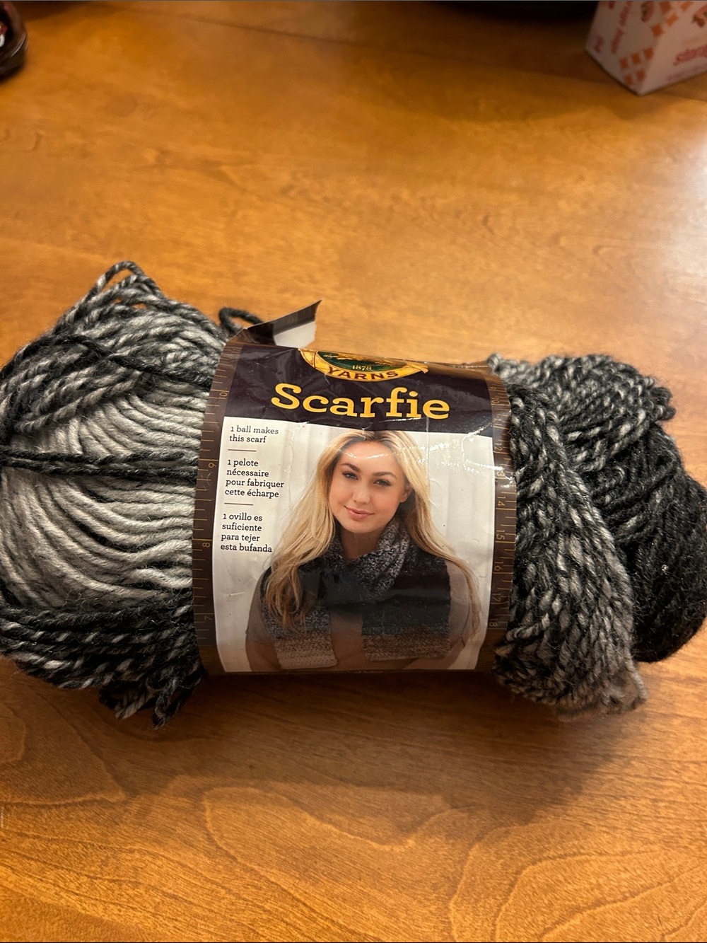 Lion Brand Scarfie Bulky Yarn - Black and Gray Marled